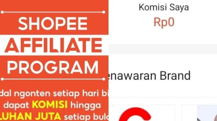Pesanan Tidak Memenuhi S&K Shopee Affiliate dan Dampaknya