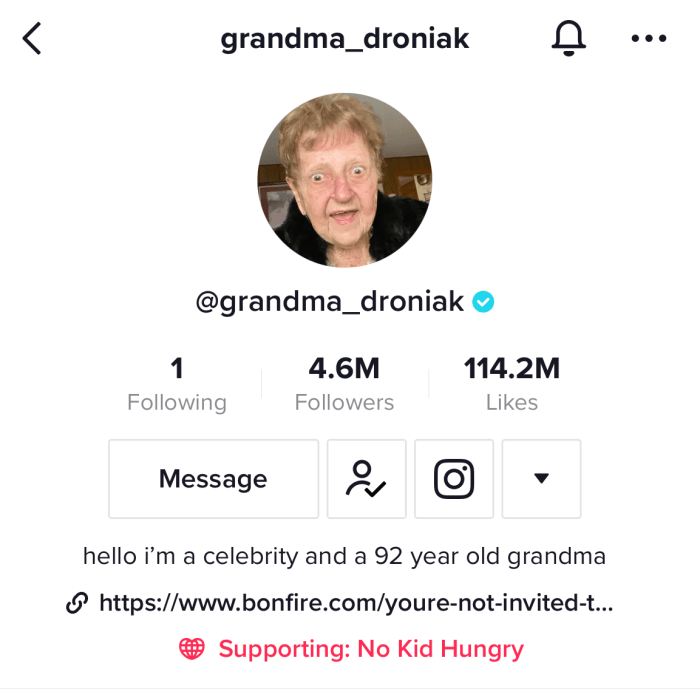 Sample Bio For Tiktok Affiliate