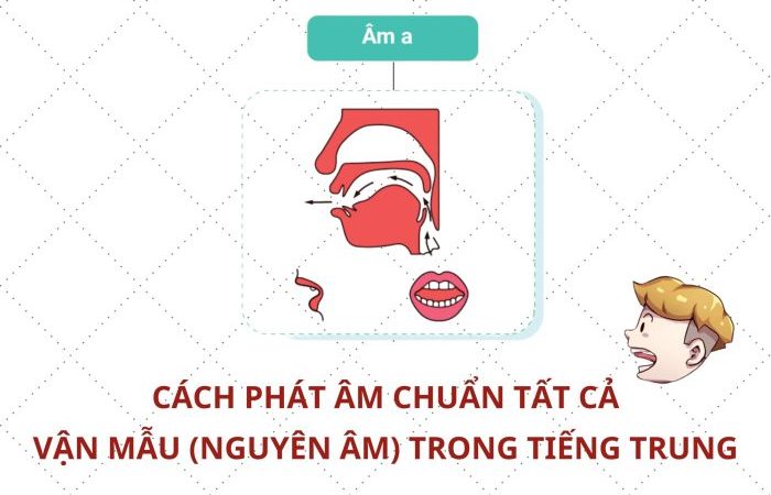 Shopee Affiliate Pesanan Tidak Memenuhi S&K Cara Mengatasinya