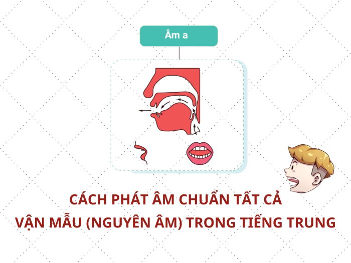 Shopee Affiliate Pesanan Tidak Memenuhi S&K Cara Mengatasinya